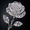 diamonrcloset
